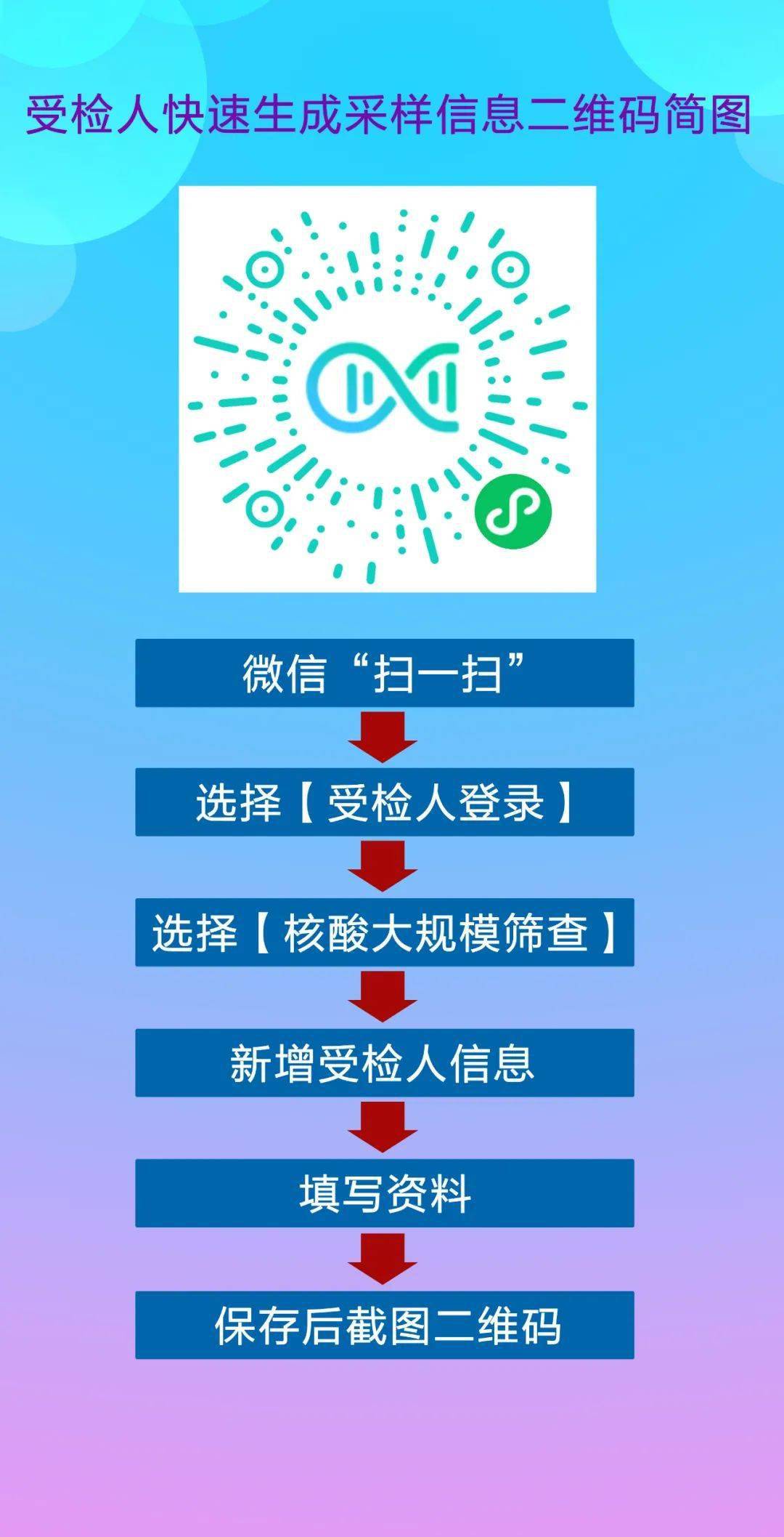 揭秘一肖一码，精准流程释义与实际操作指南