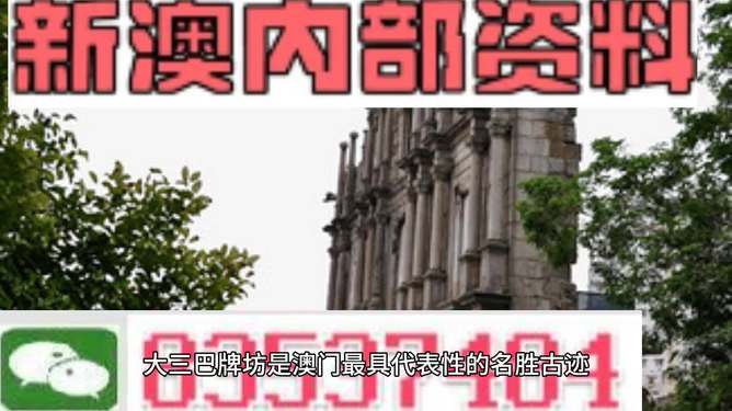 澳门最精准免费资料大全与特色旅游团，深度解读与落实