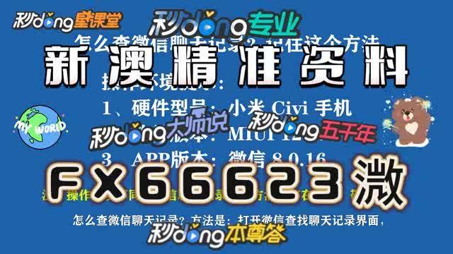 新澳门内部资料精准大全，认知释义、解释与落实