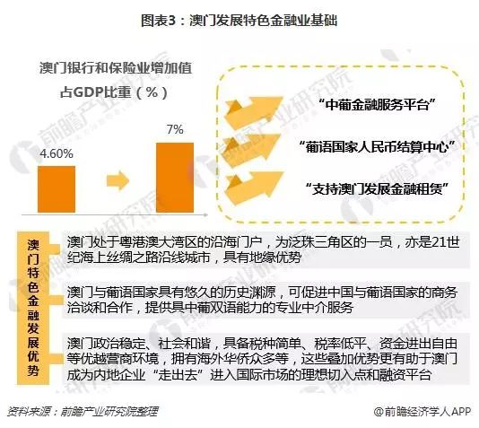 澳门平特一肖100%准资优势与聚精释义解释落实