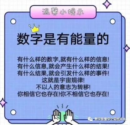 揭秘最准一肖一码软件，探寻预测背后的真相与宝贵释义的落实之道