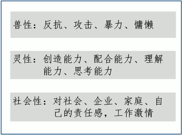 今晚澳门特马开什么今晚四不像——裁定释义解释落实