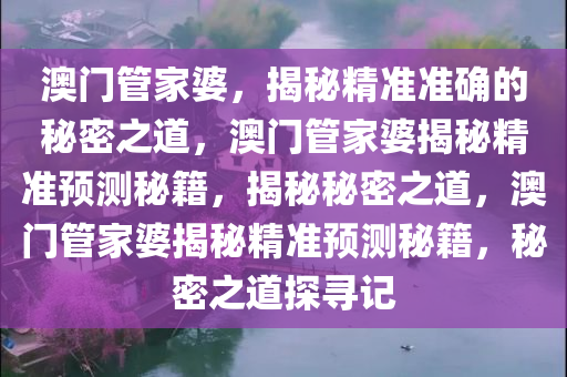 澳门管家婆，揭秘精准预测背后的神秘面纱