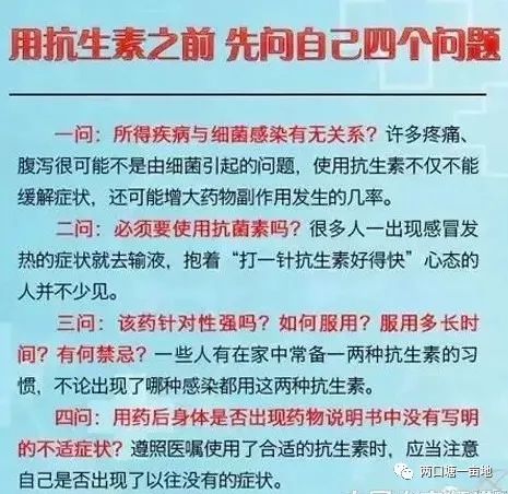 揭秘新澳芳草地，追求释义解释落实的未来蓝图