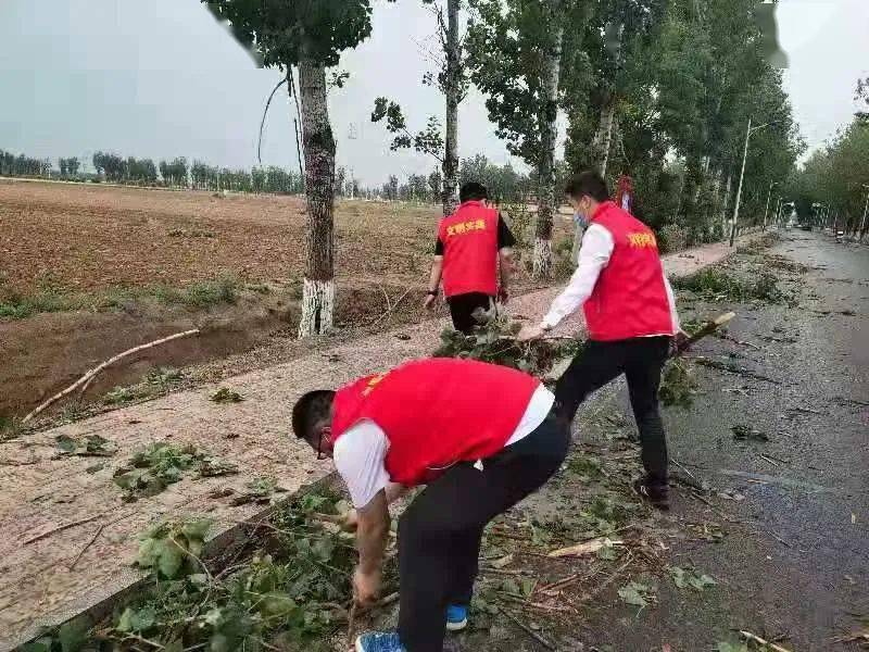 新奥历史开奖记录第93期，渗透释义与落实行动的重要性