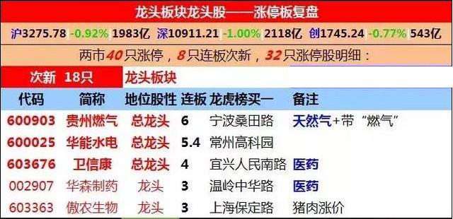 澳门特马今晚开码网站，固定释义与解释落实的重要性