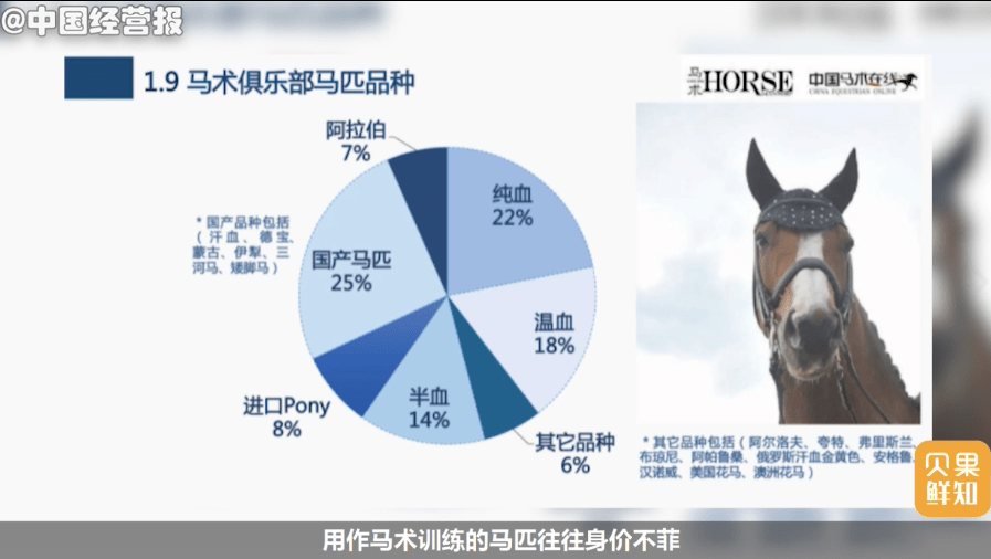 今晚澳门特马开什么今晚四不像——探索未知与理解释义的旅程