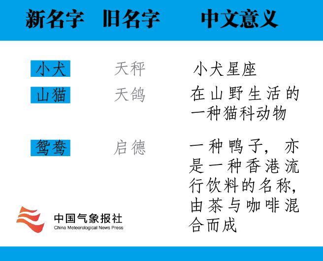 新澳资料大全正版2025金算盘，温释义解释与落实策略