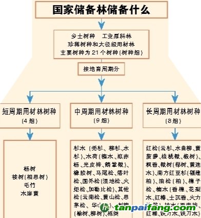 探索未来彩票奥秘，精准资料储备与落实的重要性