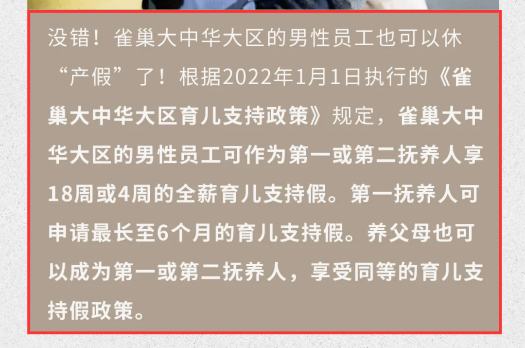 澳门一码一肖一恃一中，深度解析与释义落实