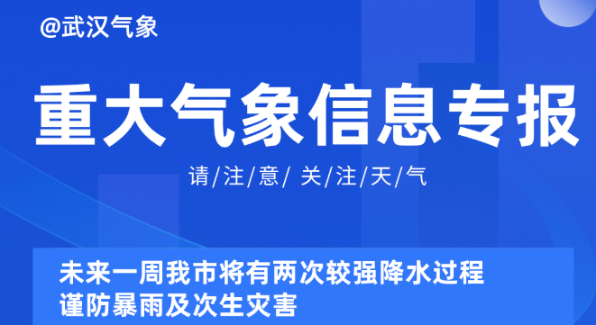 探索未来，关于新奥精准资料的免费获取与有效释义落实