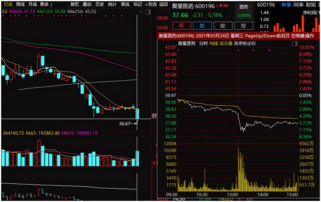 今晚澳门特马开什么今晚四不像——探索未知与理解现实的平衡