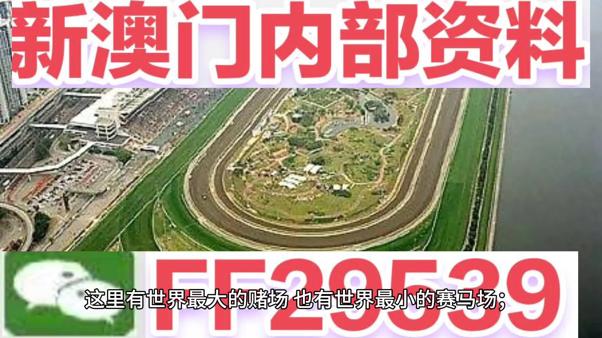 新澳2025今晚王中王免费资料解析与门响释义的深入落实